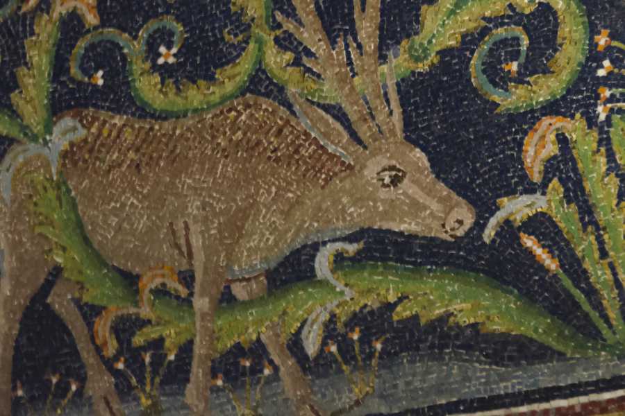 Ravenna Incoming (ERW) Tesselles de Mosa&iuml;que - Visite Guid&eacute;e des Monuments UNESCO de Ravenne