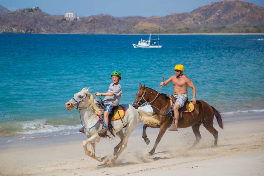 Krain Concierges Horseback Riding Tour