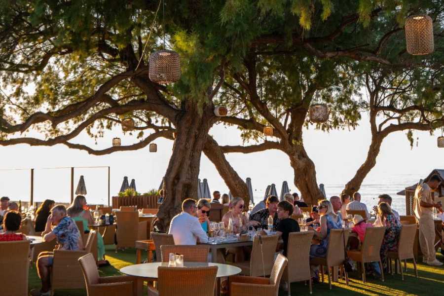 Destination Platanias Kyano rantaravintola