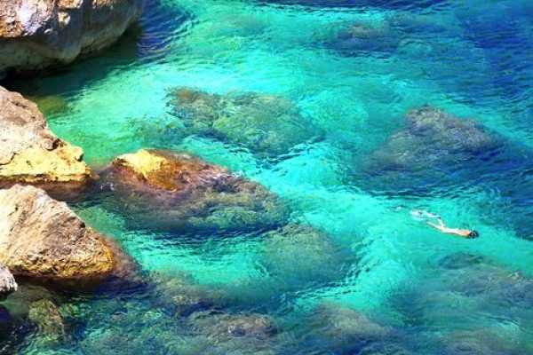 Giftun Island Snorkeling Day Trip from El Gouna