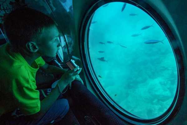 Sindbad Submarine tour from Hurghada
