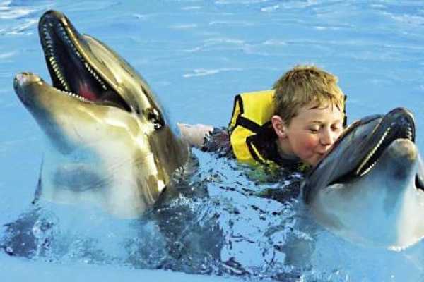 Swim with Dolphins Tour Hurghada