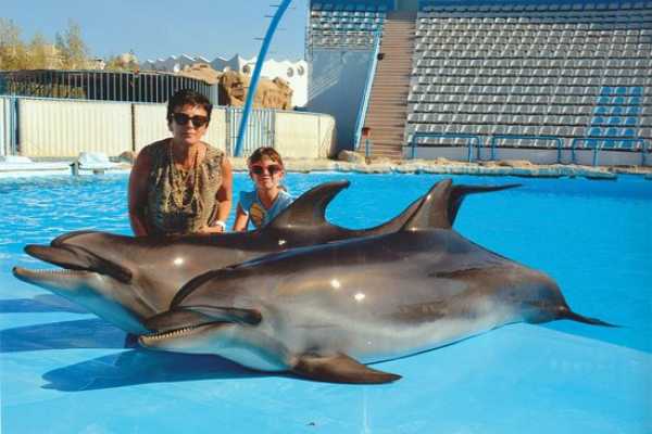 Swim with Dolphins Tour Hurghada