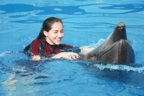 Swim with Dolphins Tour Hurghada