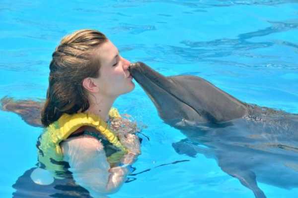 Swim with Dolphins Tour Hurghada