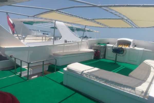 Private Snorkeling Boat Trip to Dolphin house from Hurghada