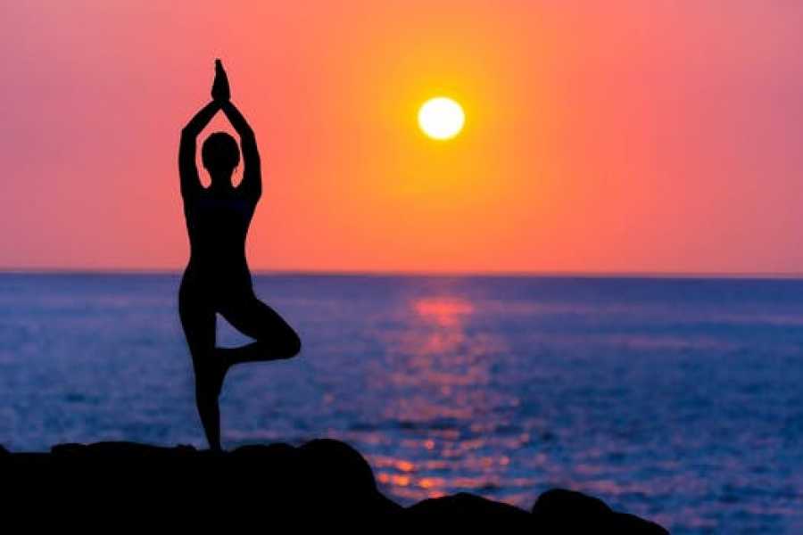 Outdooraction Yoga with Mona