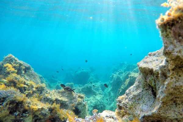 Blue & Green Cave - Excursion from Hvar