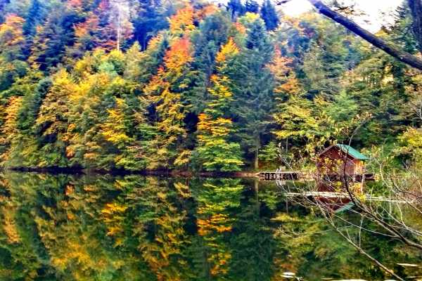 PrivateTour: Lakes and Mountains-following traces of G. Klimt, G. Mahler full day tour