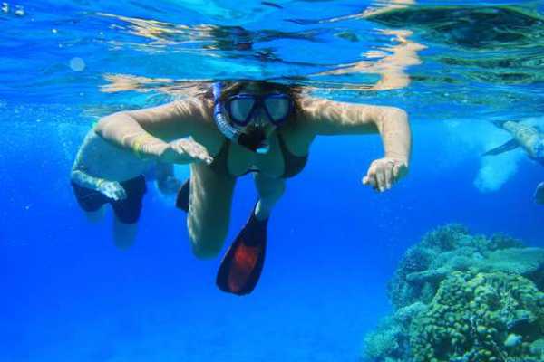 Snorkeling Trip At Port Ghalib Marina from Marsa Alam