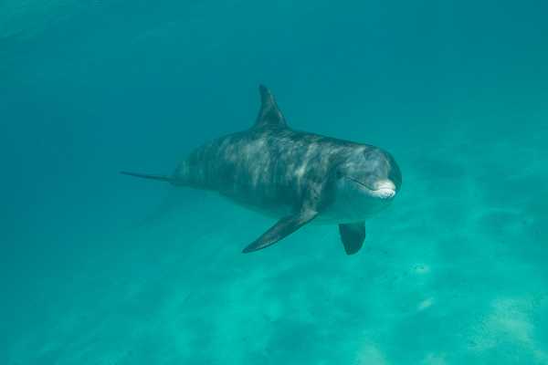 FULL DAY - FISHING CHARTERS TURKS AND CAICOS