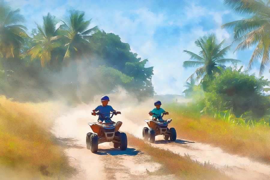 Congo Canopy Family Fun Four Pack Combo