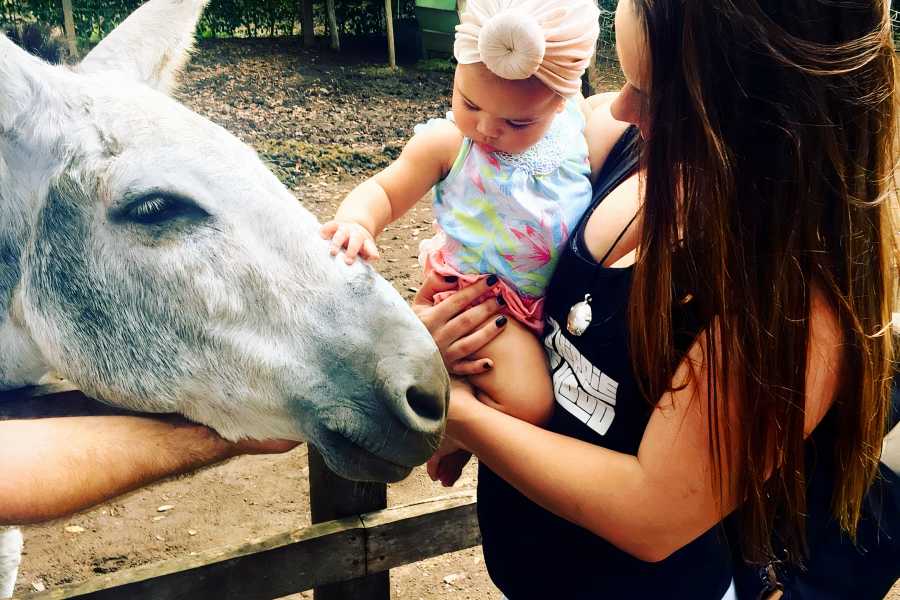 Congo Canopy Family Fun Four Pack Combo