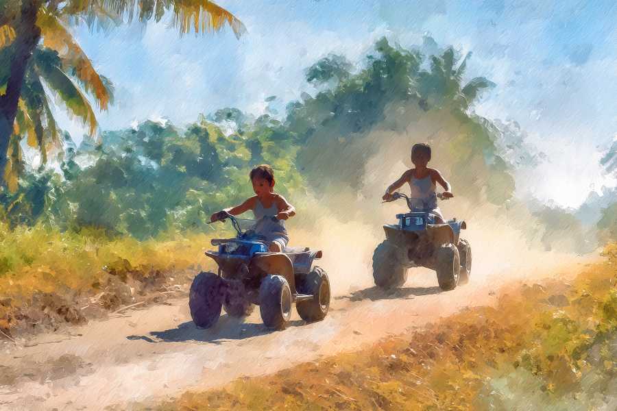 Congo Canopy Family Fun Four Pack Combo