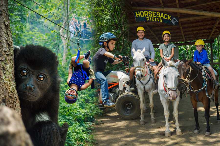 Congo Canopy Family Fun Four Pack Combo
