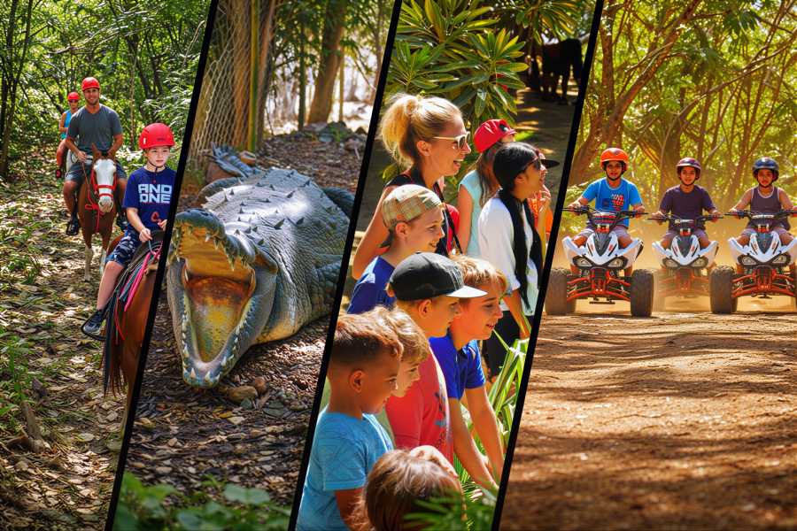 Congo Canopy Family Fun Four Pack Combo