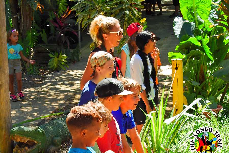 Congo Canopy Family Fun Four Pack Combo