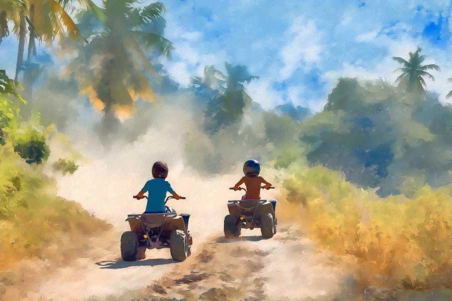 Congo Canopy Family Fun Four Pack Combo