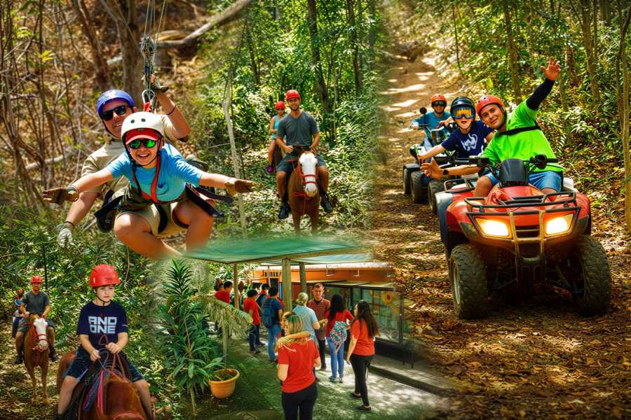 Congo Canopy Family Fun Four Pack Combo