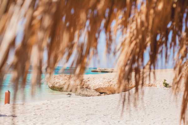 Paradise Island Snorkeling Trip from Hurghada