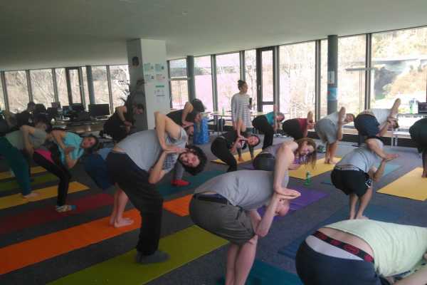 MonaFlow Yoga Class