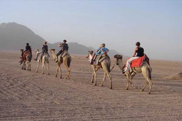 Super Safari Trip from El Gouna
