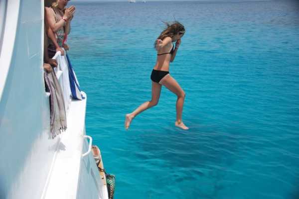 Dolphin house snorkeling trip from El Gouna