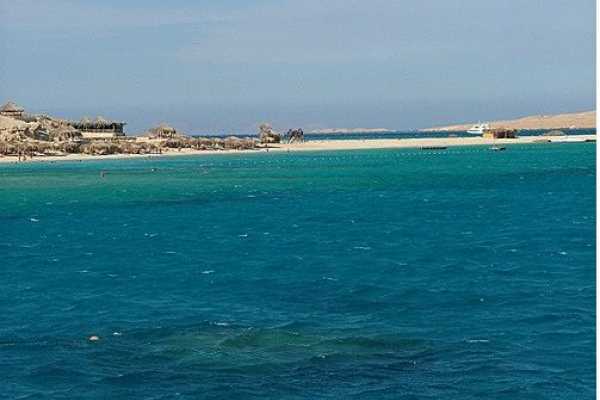 Giftun Island Snorkeling Day Trip from Hurghada