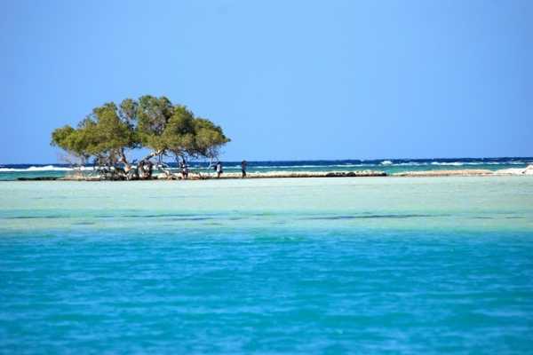 Private tour to Sharm El Luli and wadi el Qulaan Tours from Marsa alam