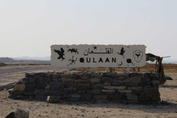 Private tour to Sharm El Luli and wadi el Qulaan Tours from Marsa alam