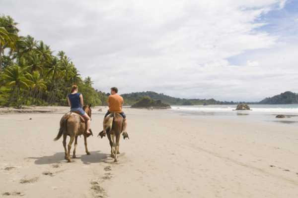 Diamante Horseback Riding Tour