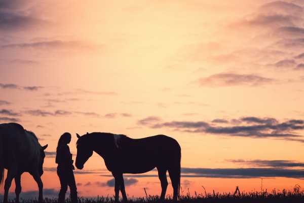 Diamante Horseback Riding Tour