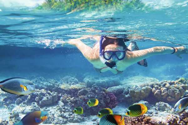 Tiran Island Snorkeling Trip from Sharm el Sheikh