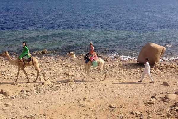 Snorkel at Blue Hole, white Canyon Safari & Camel Safari from Sharm el Sheikh