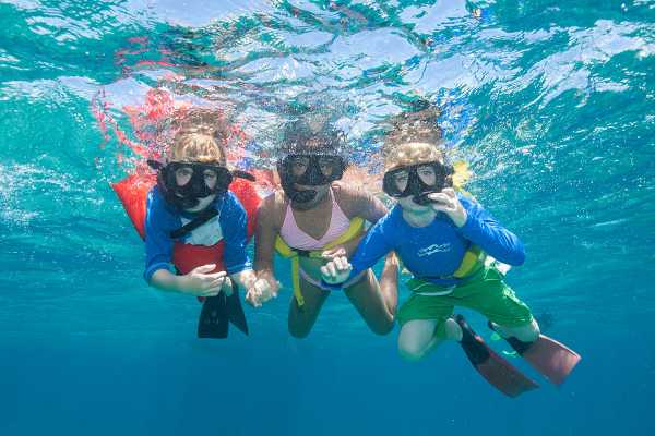 HALF DAY - SNORKEL AND CONCH CRUISE ON PROVIDENCIALES TURKS AND CAICOS