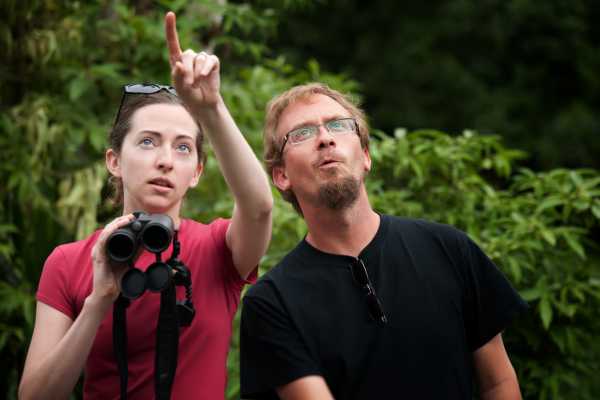 Heliconias Hanging Bridges and Canopy Hike