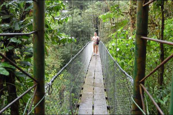 Heliconias Hanging Bridges and Canopy Hike