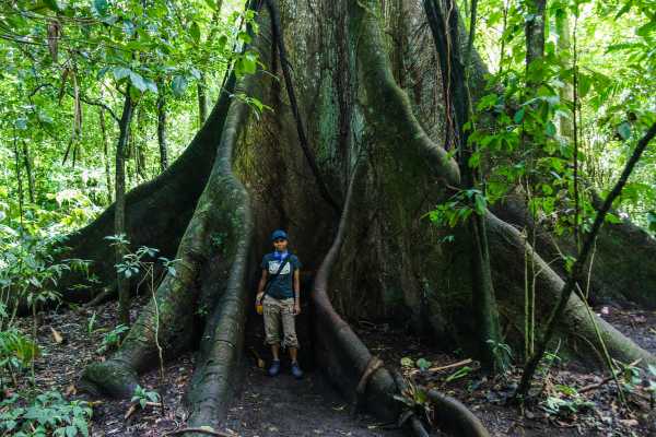 Heliconias Hanging Bridges and Canopy Hike