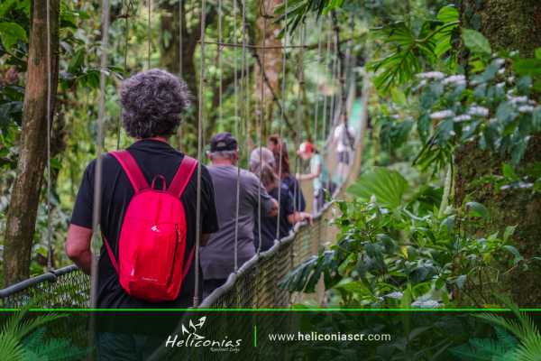Heliconias Hanging Bridges and Canopy Hike