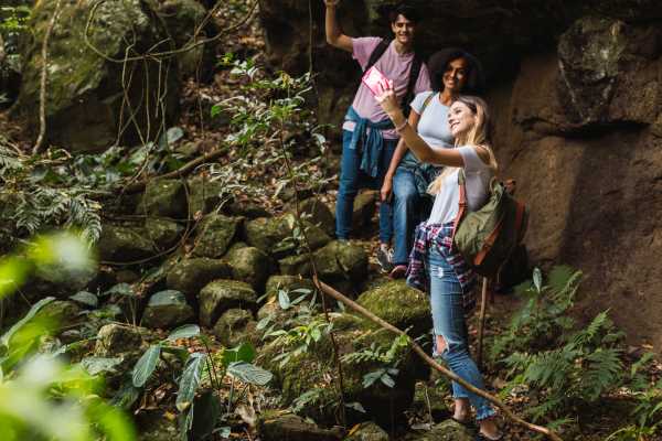 Heliconias Hanging Bridges and Canopy Hike