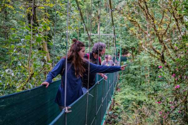 Heliconias Hanging Bridges and Canopy Hike