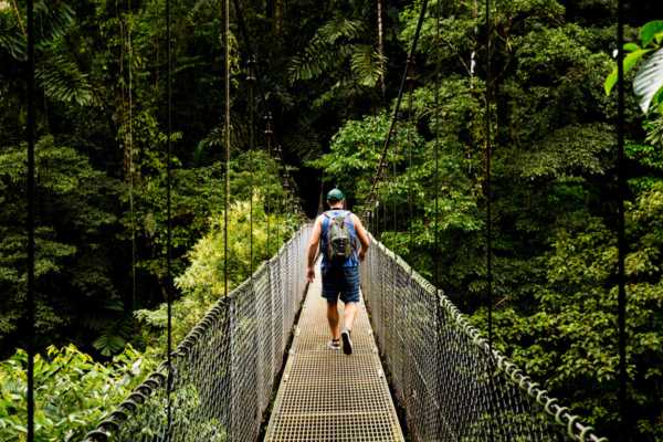 Heliconias Hanging Bridges and Canopy Hike