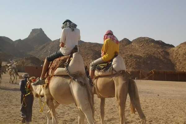 Aladin Morning Safari from Marsa Alam