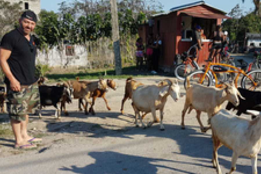 Cubyke Travel La Habana Campo - Unentdeckter Westen - Ganzer Tag - PRIVAT