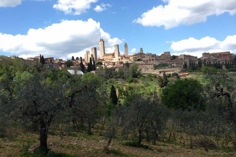 Italy on a Budget tours TUSCANY WINE TOUR FROM ROME