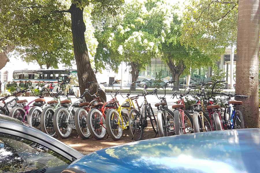 Cubyke Travel Big star of Habana - PRIVATE