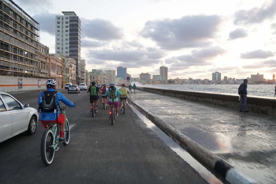 Cubyke Travel Big star of Habana - PRIVATE