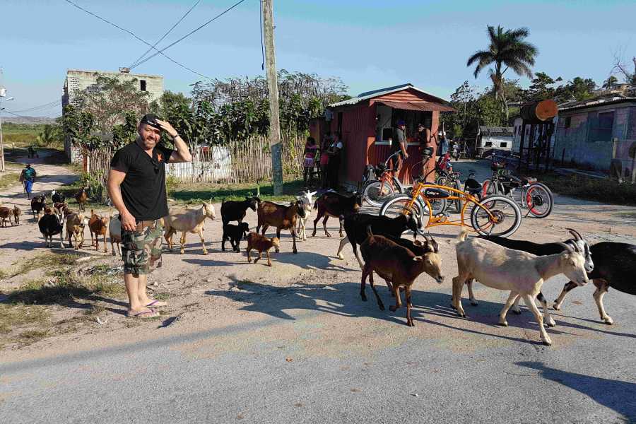 Cubyke Travel Las Terrazas - PRIVAT
