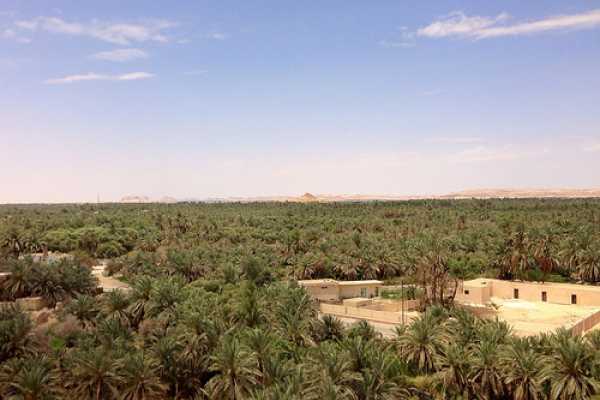 2 days trip to white desert from Cairo
