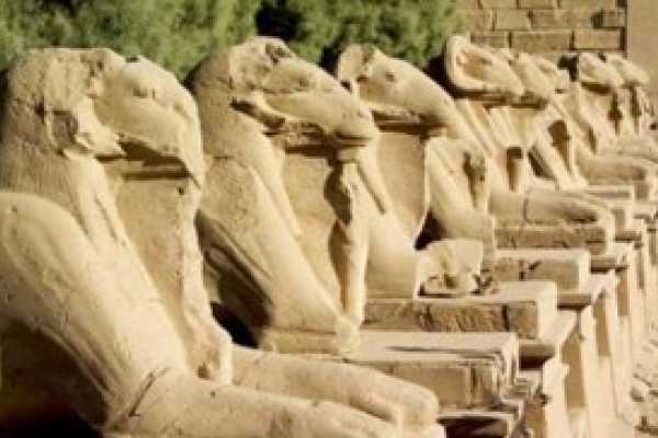 Day tour to luxor from Safaga Port